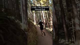 3 trails 1 day Redwood National Park 🌲 trailrunning hikingtrail nationalpark redwoods [upl. by Auqinom672]