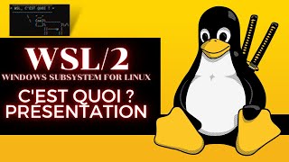 WSL Windows Subsystem for Linux CEST QUOI [upl. by Fulviah806]