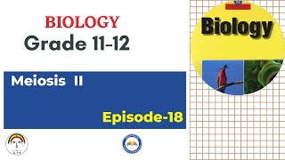 Biology Ep 18 Meiosis II [upl. by Takakura742]