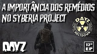 12º Episódio Como sobrevivi a um ataque gravíssimo de zumbi no Syberia Project [upl. by Lonier]