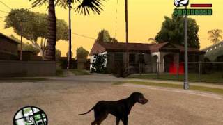 Perro en Gta sa BETA [upl. by Priebe134]