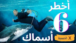 أخطر ٦ انواع سمك l في الخمسينة [upl. by Garbers]