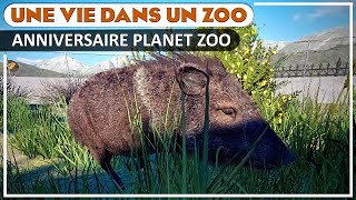 Enclos Parfait du Pécari à collier  EPISODE 55  PLANET ZOO  Franchise [upl. by Dressel848]