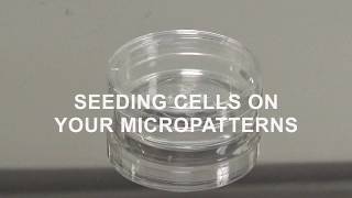 Tutorial Video Seeding Cells on your Micropatterns [upl. by Yenhoj]