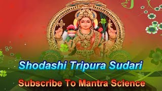 Shodashi Tripura Sundari  Mahavidya Mantra [upl. by Corb996]