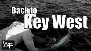 W4F  Fly Fishing Back to Key West [upl. by Consuelo]