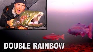 Hectic Rainbow Trout Double  Barbe Lake Manitoba [upl. by Islehc577]