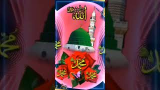 Allah janta hai muhammad ka marataba mohammad islamicmusic shortvideo [upl. by Finegan]