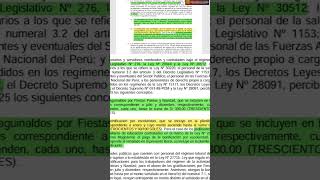 Minedu propone gratificación para la el 2025 [upl. by Jany]