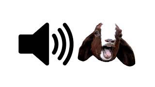 Goat Scream Funny  Sound Effect  ProSounds [upl. by Pawsner]