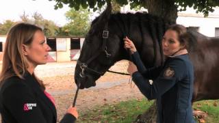 Tresser son cheval sans stresser   Equidia Life [upl. by Shawn960]