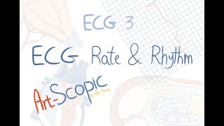 ECG 3 Rate and rhythm [upl. by Enaenaj]