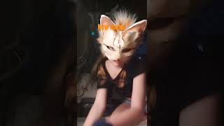 Orange cat mask •○● therian theriangear therianthropy catmask [upl. by Yelah]