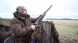 Pigeon shooting clips [upl. by Hulburt]