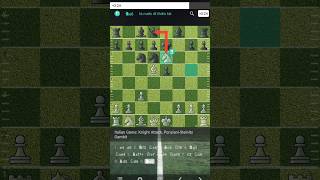 Italian Game Knight AttackPonzianiSteinitz Gambit [upl. by Lissak]