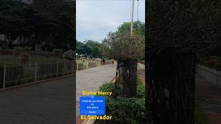 Divine Mercy at El Salvador Cagayan De Oro City travel shortsvideo [upl. by Cykana]