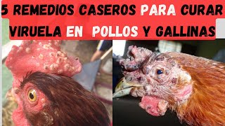 Los mejores tratamientos caseros para pollos con viruela [upl. by Annaliese320]