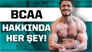 BCAA Nedir Ne Zaman Kullanılır BCAA mı Protein Tozu mu [upl. by Parthena825]