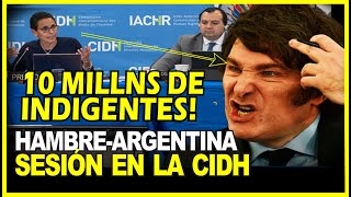 🔴URGENTE LAS POLÍTICAS DE HAMBRE DE MILEI ANTE LA CIDH [upl. by Fortuna]