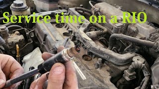 2008 KIA Rio Spark Plug and Oil Service Detailed [upl. by Frasco]