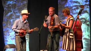 Train On The Island  Foghorn Stringband at CBA Festival [upl. by Llenroc673]