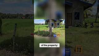 Buying a Philippines FixerUpper Our 3 Bedroom Province Gem [upl. by Merrell181]