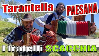 TARANTELLA PAESANA i fratelli SCACCHIA campioni del mondo di organetto [upl. by Kelbee74]