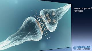 Cannabidiol and the Endocannabinoid System A Brief Tutorial [upl. by Oicirbaf150]