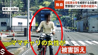 【独自】大田区でママチャリ女性を威嚇する自動車…警察駆けつけ衝撃の結末へ「信号無視に逆走！舐めてんのかバカヤロー！」【GTA5】 [upl. by Isaac]