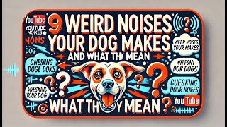 9 Weird Noises Your Dog Makes and What They mean [upl. by Ardnikat]