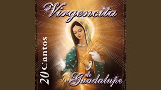 La Guadalupana [upl. by Yerg547]