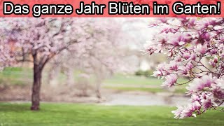 Dauerblüher im Garten – Blüten das ganze Jahr Ganzjährig blühender Garten Frühling Sommer Herbst [upl. by Nahtanaoj]