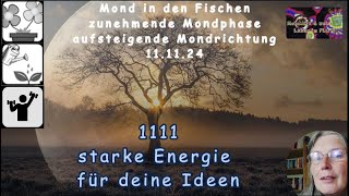 MondTIPP  1111  starke Energie um deine Ideen umzusetzen [upl. by Ahsilrae]