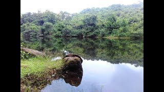 Ajodhya Hill  Purulia  Weekend trip from Kolkata  Tansener Tanpura  Akash hill top [upl. by Ytinirt]