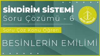 Sindirim Sistemi Soru Çözümü 6  Besinlerin Emilimi  11 Sınıf Biyoloji  AYT [upl. by Andromeda]