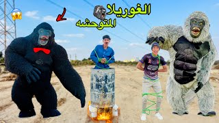 لما غوريلا المتوحشه تهجم عليكم في البيت وتخطف واخوك الصغير  الجزء الثاني 🦍😂 علاء حسين [upl. by Audras]