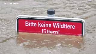 Hochwasser Rheine 25122023 [upl. by Comyns692]