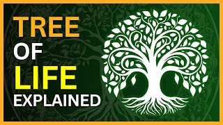 The Tree of Life A Beginners Guide Esoteric Saturdays [upl. by Eeneg823]