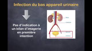 Infections urinaires  1 Quels examens prescrire [upl. by Clementia]