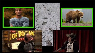 David Goggins Spotted Grizzly Bear Tracks While Smokejumping [upl. by Hanala480]