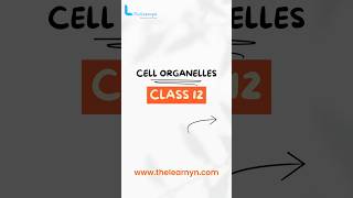 Cell Organelles biology shorts shortsfeed [upl. by Marbut]