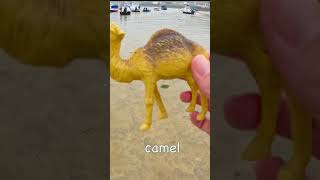 Learn Animal Names at the Harbour for Babies Toddlers Kids Butterfly Camel Tortoise Dog Lion [upl. by Mientao677]