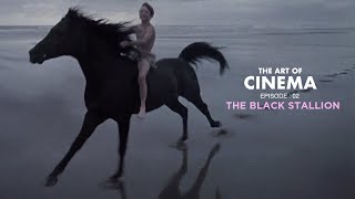 The Black Stallion Returns 1983  He Belongs Here Scene 1212  Movieclips [upl. by Mathis]