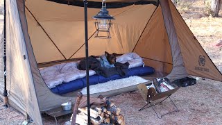 Winter Camping Solo Overnight with My Dog  Cosy ASMR [upl. by Wade]