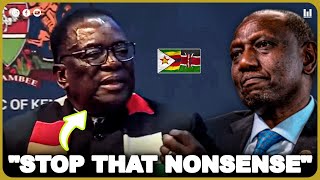 Zimbabwe president Mnangagwa lectures William Ruto in front of foreign presidents [upl. by Nonek]