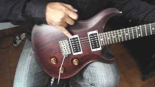 PRS Standard 24mp4 [upl. by Pytlik98]