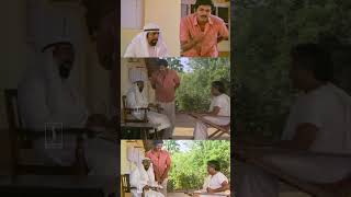 സലാമി സബാൽകേ വെയർ ഇൻ ദി ഷുഗർ😃😃  Akkare Ninnoru Maran Comedy Movie  Sreenivasan Comedy  Mukesh [upl. by Vivia]