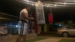 Everlast Heavy Bag 70 Lb y Cleto Reyes Bag 25 Lb [upl. by Ydolem]