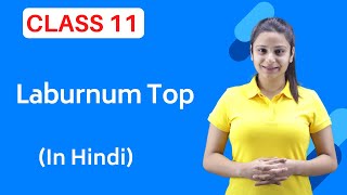 The Laburnum Top Class 11  Full हिन्दी में [upl. by Yrtnahc263]