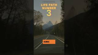 Life Path Number 3 Numerology Explained in 9 seconds Quick Guide 2024 numerology lifepathnumber [upl. by Natloz543]